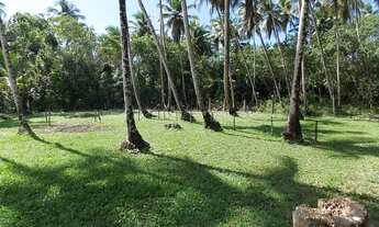 Imagem: Terreno em Ilha Morro de São Paulo