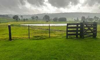 Imagem 6: Vende fazenda 271 alqueiro a 1.500 saca de soja