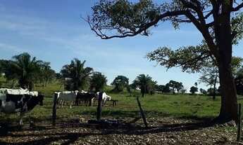 Imagem 4: Fazenda de 104 alqueires em Baliza-GO