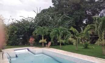 Imagem 5: Sítio 333 x 1.000 na BR 174 Ramal do Pau - Rosa 600.001,00