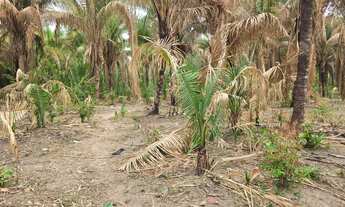 Imagem: Terreno para sítio 15 x 147 a 30 km de