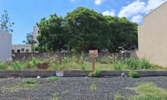 Imagem: Terreno para venda no Bairro Ipiranga, em