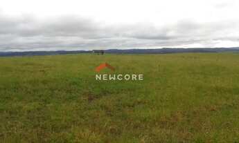 Imagem 2: Lote em Estrada Faz do Baú -juá - Interior - São Francisco de Paula/RS