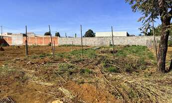 Imagem 5: Lote comercial 26 de Setembro