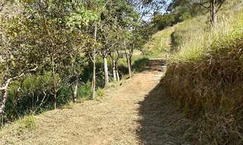 Imagem 3: Sítio com 12 ha sendo 6,5 de eucaliptos com 12 anos