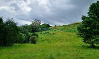Imagem 6: Terreno Travessao Alfredo Chaves Flores da Cunha