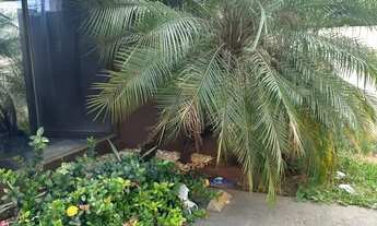 Imagem 2: PRÉDIO COMERCIAL - RUA T-28 - SETOR BUENO CÓDIGO - 2734