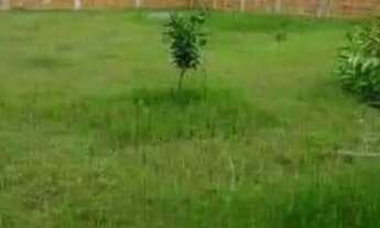 Imagem 5: Vendo ou troco por kitnet Alugo terreno todo murado medindo 1.440 M2