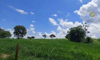 Imagem 7: Fazenda à venda em distrito da Guia - MT