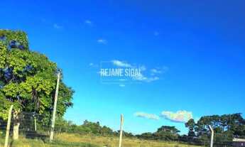 Imagem 3: Terreno próximo à Av. Adolfo Fetter