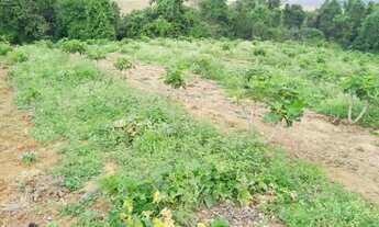 Imagem 5: SÍTIO - MACUCO - SP