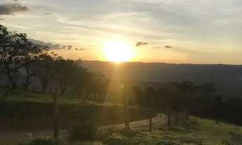 Imagem: Terreno em área calma e arborizada