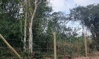 Imagem 3: Terreno 450m² com RGI e escritura em meu nome