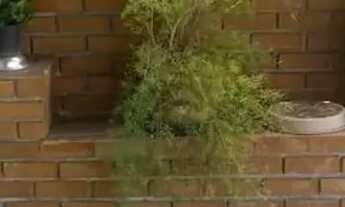 Imagem: Imóvel para venda possui 150 metros quadrados