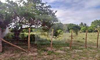 Imagem: Lotes no Recanto das Andorinhas Bairro Mosqueiro