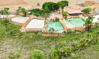 Imagem 2: Chácara 1 alqueire (4,84 hectares) Pontalina - Go