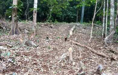 Imagem 2: Terreno para chácara sítio lazer