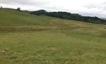 Imagem: Lote em São Francisco de Paula - Centro