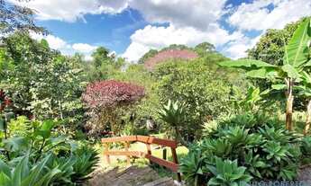 Imagem 5: CASA DE VILA - VILA HORTÊNCIA - SP