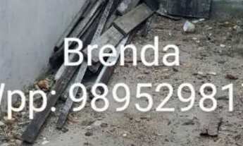 Imagem 3: Casa no Sideral nos fundos