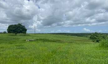 Imagem 2: Fazenda com 20,0 hectares, em Comum, distrito de Monte Alegre/RN