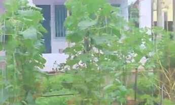 Imagem 6: Vende linda casa em são francisco do pará, em terreno com 840m(12x70