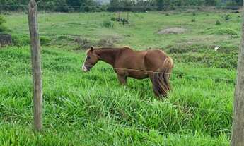 Imagem 7: Terrenos a venda próximo a Guararema