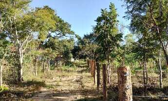 Imagem 3: Lote lago serra da mesa niquelandia