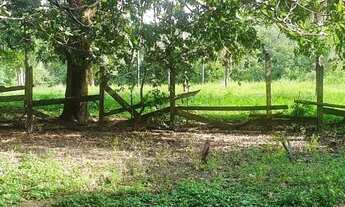 Imagem 7: Fazenda/Sítio para venda possui 22 Alqueires, entre Palmas e Paraiso