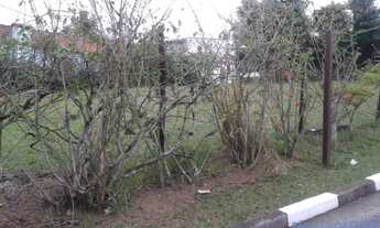 Imagem 7: CASA EM CONDOMÍNIO - CONDOMÍNIO ARUJAZINHO 4 - SP