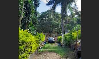 Imagem 4: Chácara com Escritura no Novo Gama