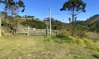 Imagem 3: Sítio em São Luiz paraitinga