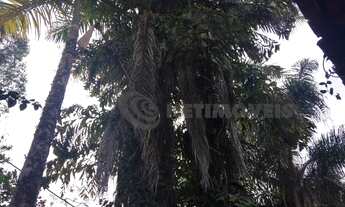 Imagem 3: Venda Sítio Parque Residencial Serra Azul Juatuba