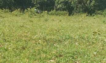 Imagem 4: Sitio em São Lourenço da mata