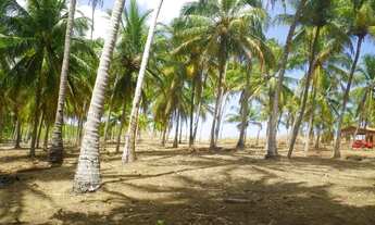 Imagem 7: O seu imóvel dos sonhos cabe em 10.550m2? Então essa é sua oportunidade de ouro