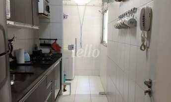 Imagem 3: Santo André - Apartamento Padrão - Jardim Utinga