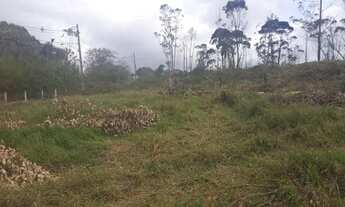 Imagem 3: SAO ROQUE - Terreno / lote / condominio - CAETE (MAILASQUI