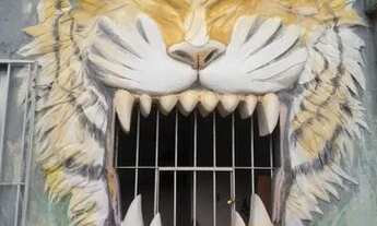 Imagem: Vendo duas casas