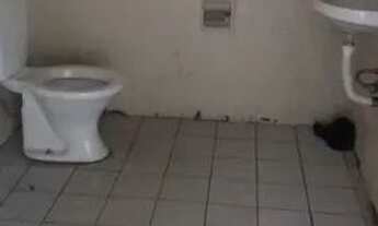 Imagem 5: Sobrado à venda, 55 m² por R$ 400.000,00 - Butantã - São Paulo/SP