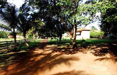 Imagem 6: Chácara com 4 dormitórios à venda, 10000 m² por R$ 3.500.000,00 - Recreio Anhangüera - Rib