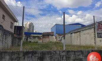 Imagem 2: São Paulo - Terreno Padrão - Tatuapé