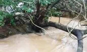 Imagem 2: Fazenda Fazenda / sítio com venda por R$700.000