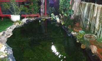 Imagem 5: Aluguel de kit net