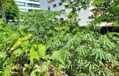 Imagem 4: Casa com 3 dormitórios para alugar, 90 m² por R$ 5.600,00/mês - Agronômica - Florianópolis