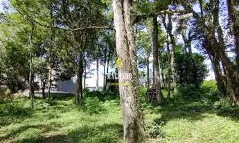 Imagem 2: Terreno no bairro Harmonia REF: 210485