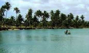 Imagem 14: Alugo Temporada Casa com 2 dormitórios