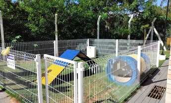 Imagem 3: Aluga-se Apartamento Padrão