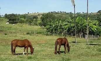 Imagem 3: Fazenda de 104 alqueires em Baliza-GO