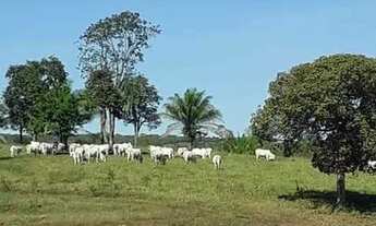 Imagem 2: Fazenda de 104 alqueires em Baliza-GO