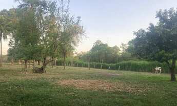 Imagem 6: Vende-se Chácara pesqueiro barranco alto 2